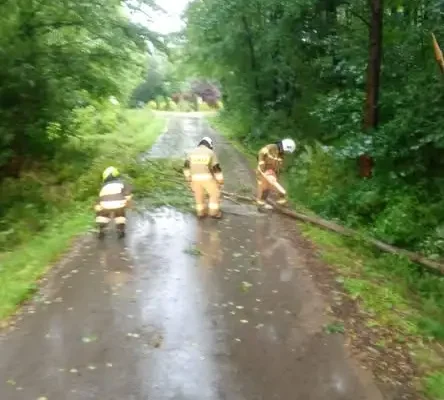 Konary drzew zablokowały ulicę Ogrodową w Wielgomłynach