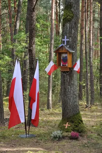 Rocznica przysięgi żołnierzy KWP w lesie gertrudowskim – Msza Polowa jako hołd dla niezłomnych