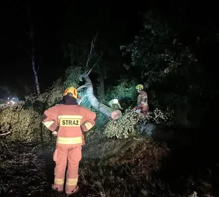 Nawałnica w gminie Żytno: strażacy usuwali skutki wichury