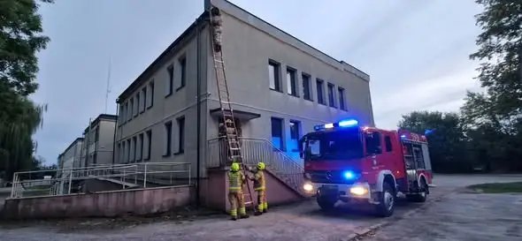 OSP Kobiele Wielkie usunęło gniazdo os przy Urzędzie Gminy