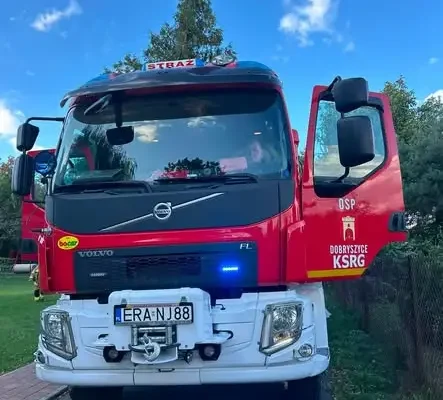 Strażacy z Dobryszyc usuwali gniazdo os z placu zabaw przy przedszkolu
