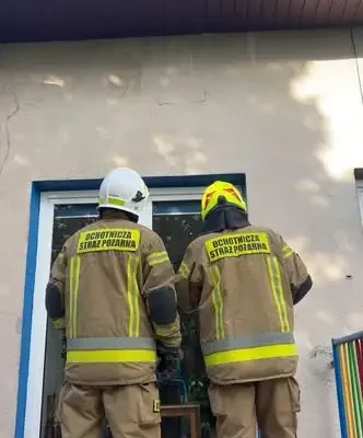 OSP Dobryszyce usuwa gniazdo os przy ul. Szkolnej