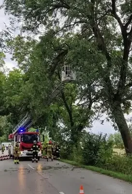 Konar drzewa nad drogą w powiecie radomszczańskim. Interwencja strażaków