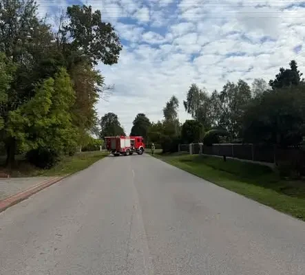 Wichura nadłamała drzewo nad drogą. Interweniowali strażacy z Kobieli Wielkich
