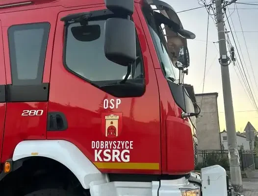 Powalone drzewo na jezdni w Hucie Brudzkiej – alarm okazał się fałszywy
