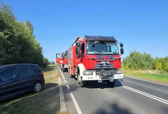 Fałszywy alarm na DW484 w Ozga – interweniowały służby