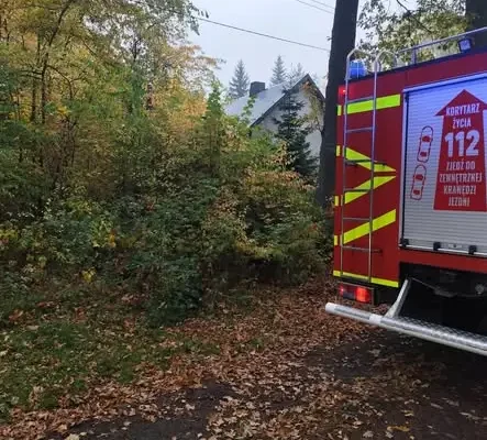 Drzewo na dachu posesji – interwencja strażaków z OSP Dobryszyce