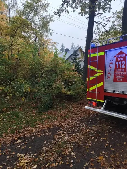 Drzewo na dachu posesji – interwencja strażaków z OSP Dobryszyce