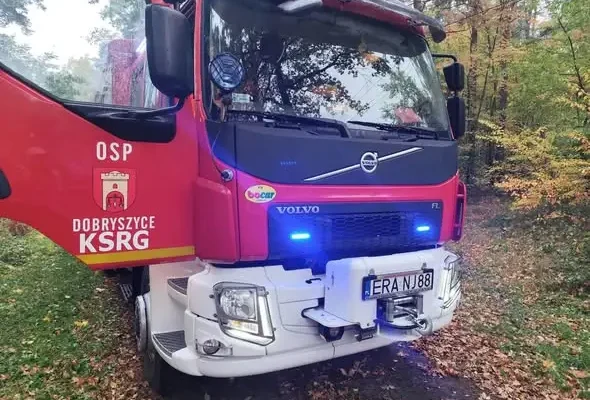 Drzewo na dachu posesji — interwencja OSP KSRG Dobryszyce