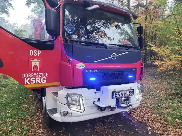 Drzewo na dachu posesji — interwencja OSP KSRG Dobryszyce